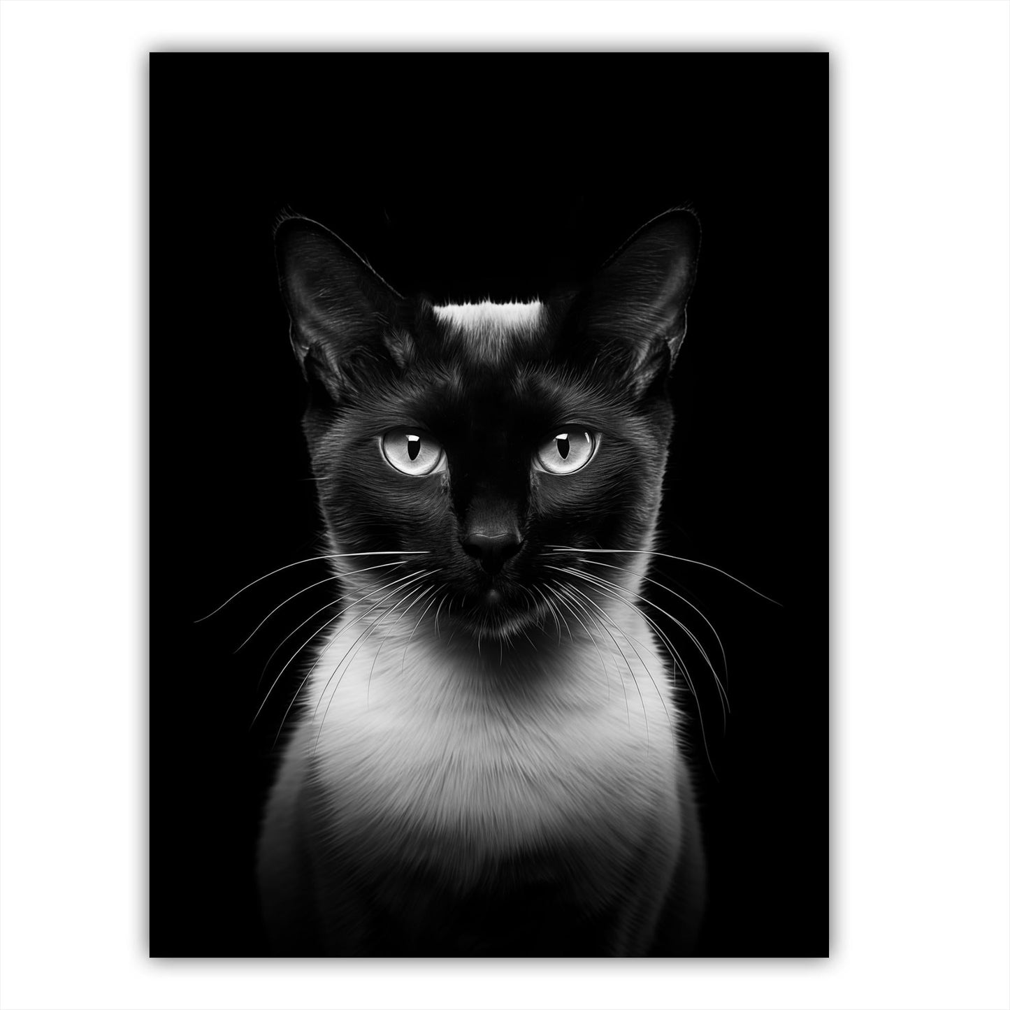 Cat - Siamese Portrait - Atka Inspirations