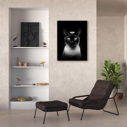 Cat - Siamese Portrait - Atka Inspirations
