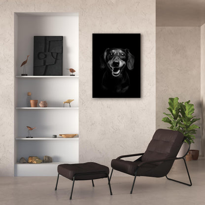 Dog - Dachshund Portrait - Atka Inspirations