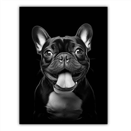 Dog - French Bulldog Portrait - Atka Inspirations