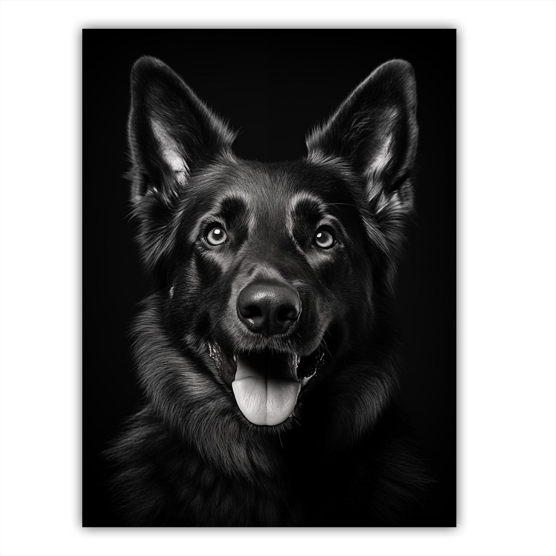 Dog - German Shepard Portrait - Atka Inspirations