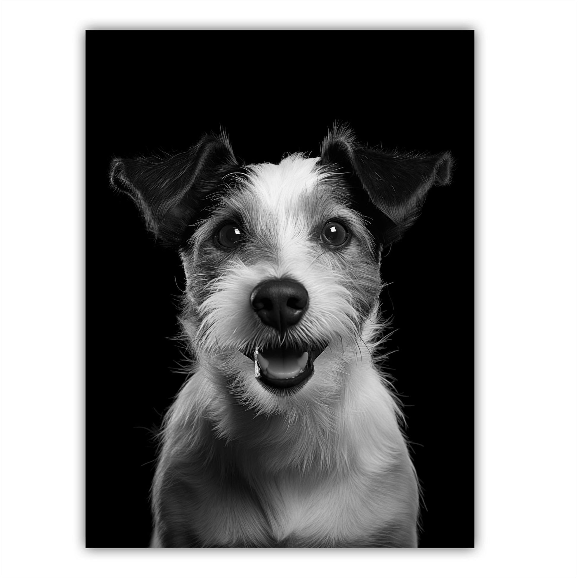 Dog - Jack Russel Terrier Portrait - Atka Inspirations