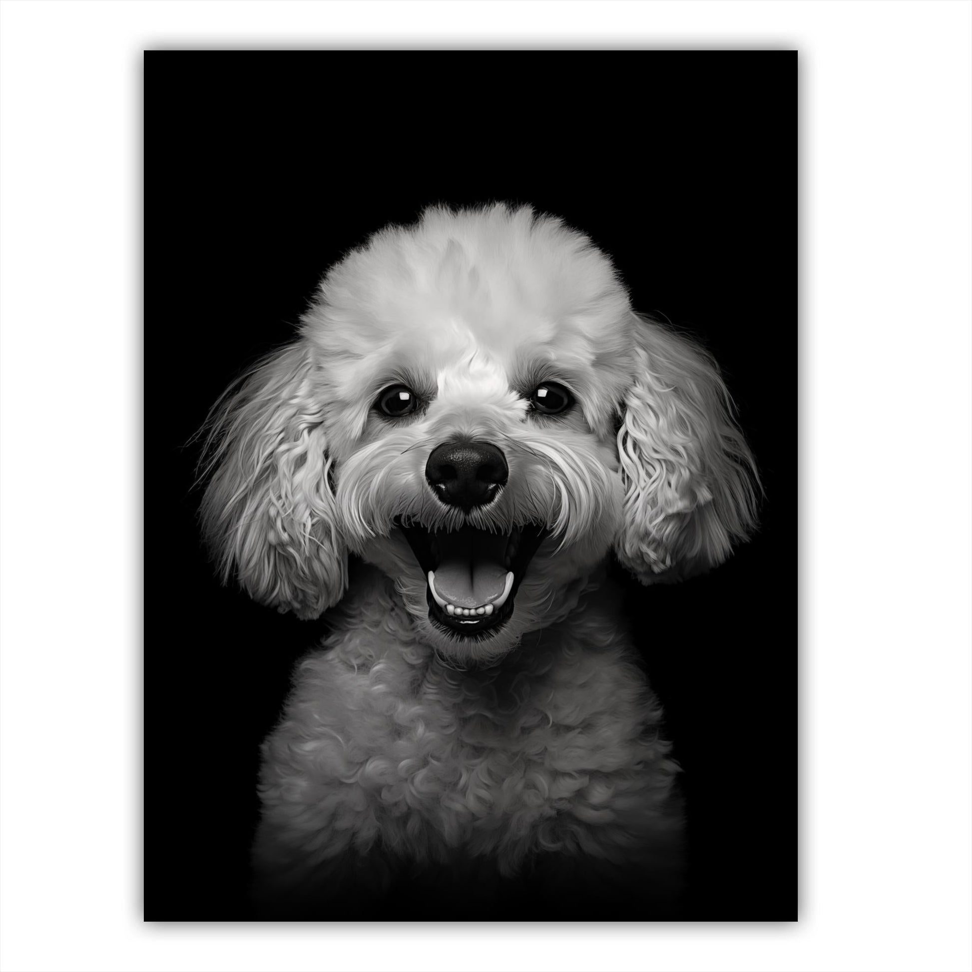 Dog - Poodle Portrait - Atka Inspirations