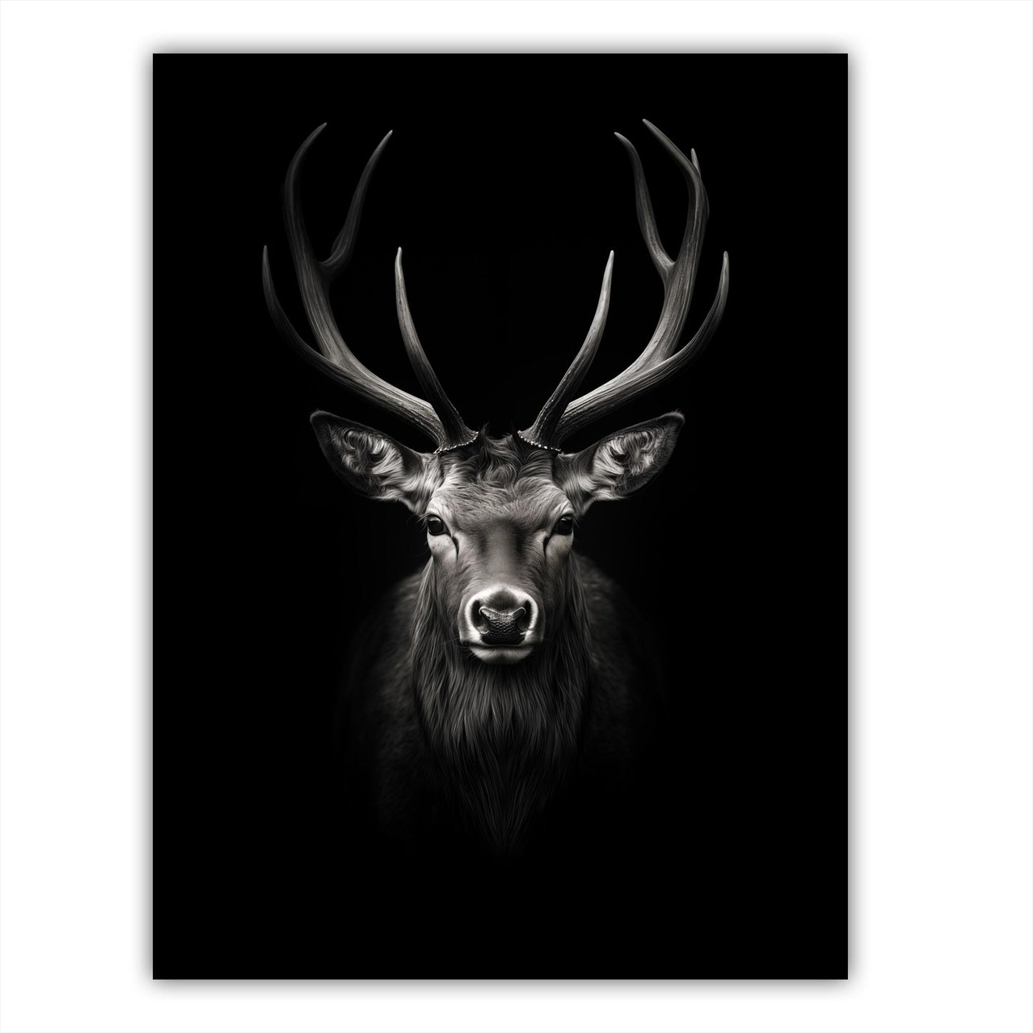 Elk Portrait - Atka Inspirations