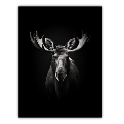 Moose Portrait - Atka Inspirations