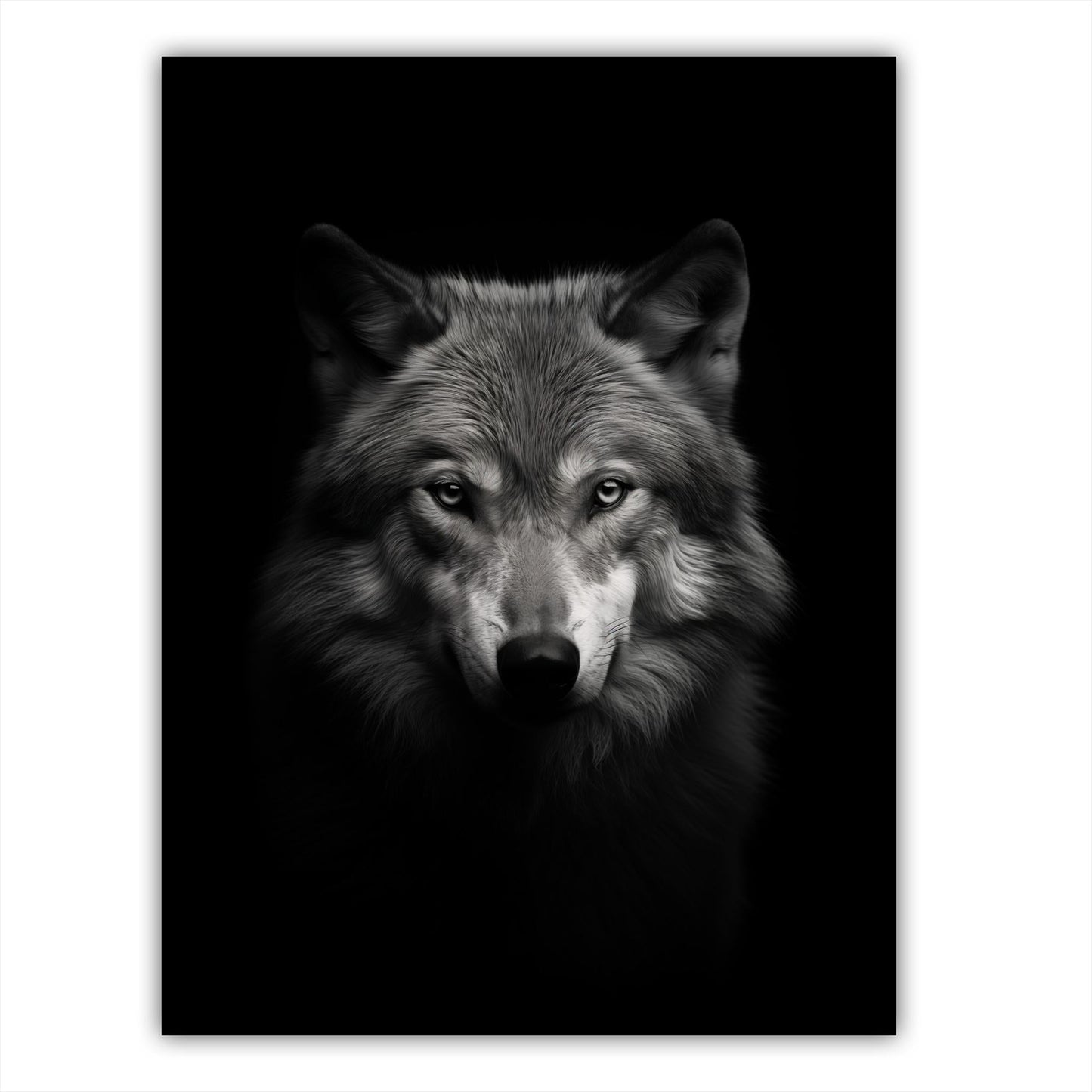 Wolf Portrait - Atka Inspirations