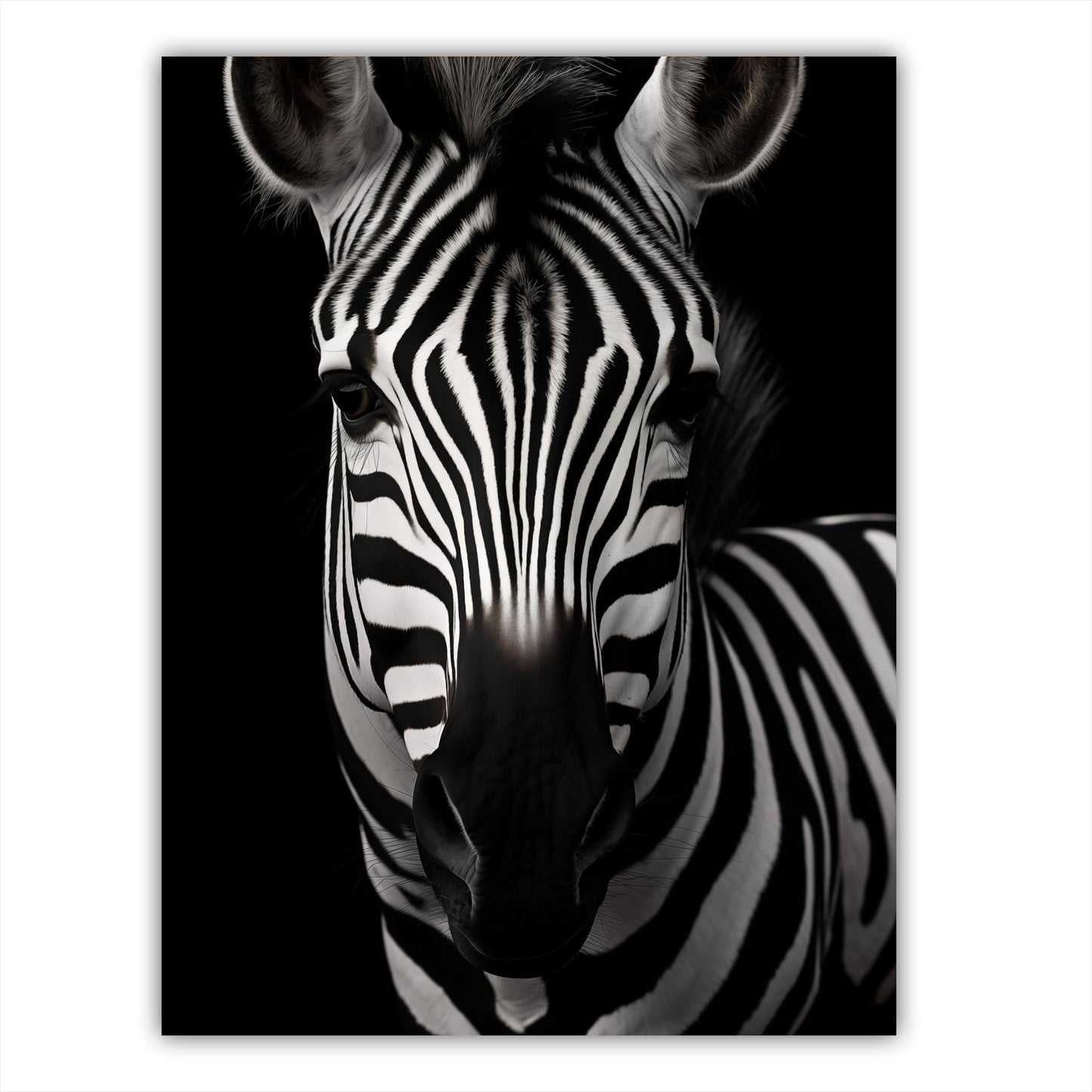 Zebra Portrait - Atka Inspirations